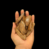 كمية عود الـدار 50 جرام